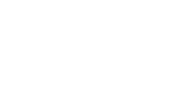Fokker logo
